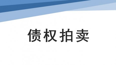 馬鞍山市遠程拍賣有限責任公司債權(quán)拍賣公告